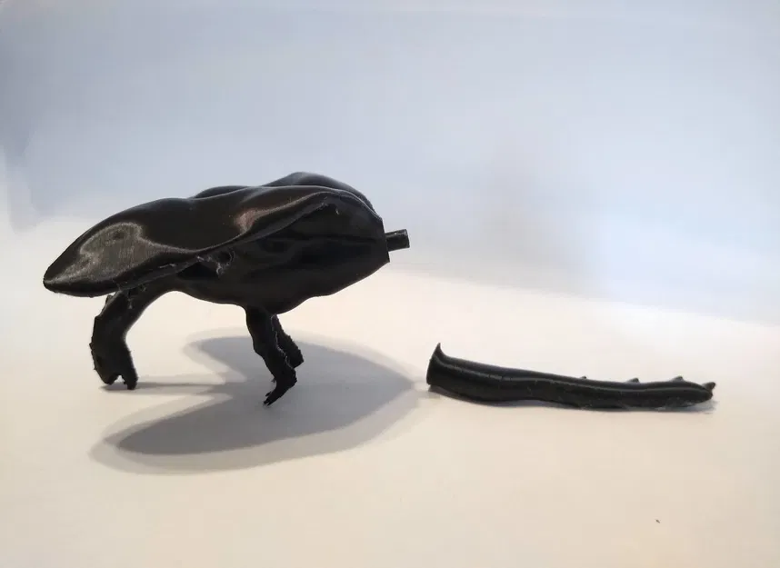 Rồng Điêu Khắc (Sculpted Dragon) - Image 8