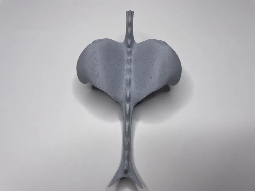 Rồng Low Poly - Image 6