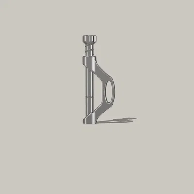 Móc Carabiner Kiểu Lặt Vặt