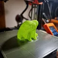 Fred The Frog Voronoi - Nhẹ Tênh - Thumbnail 5