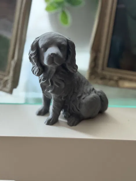 Mô Hình Chó Ngồi (Quét bằng Photogrammetry) - Image 3