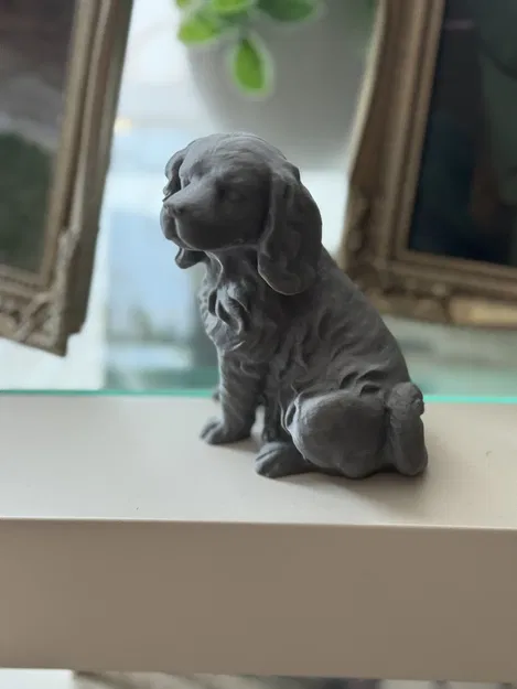 Mô Hình Chó Ngồi (Quét bằng Photogrammetry) - Image 5