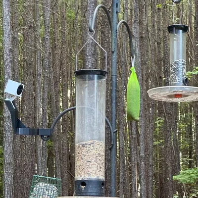Đế Gắn Wyze Cam Outdoor Cho Cột Wild Birds Unlimited