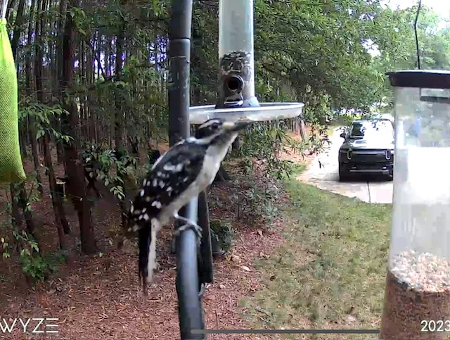 Đế Gắn Wyze Cam Outdoor Cho Cột Wild Birds Unlimited - Image 5