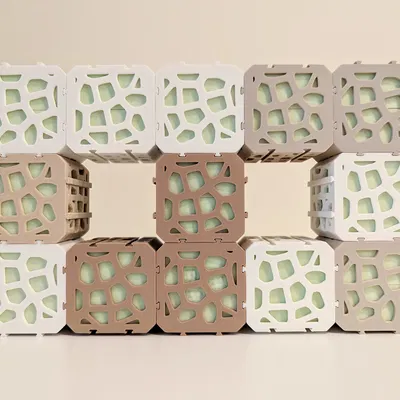 Hệ Thống Tổ Chức Module Họa Tiết Voronoi