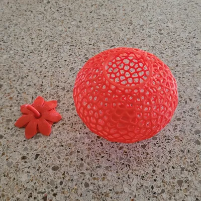 Mô Hình 3D Dâu Tây Voronoi Độc Đáo