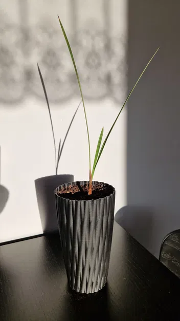 Chậu hoa cao cho cây dừa - Image 1