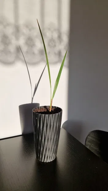 Chậu hoa cao cho cây dừa - Image 2