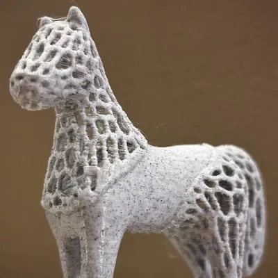 Mô Hình Ngựa Voronoi