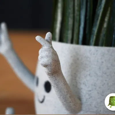 Chậu Mini Trái Tim Vui Vẻ