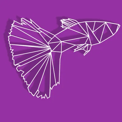 Cá Xiêm Đấu Giác Quan Hình Học