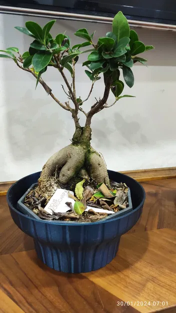 Chân Đế Chậu Cây Porta Vaso - Chỗ Để Chậu Cây - Image 2