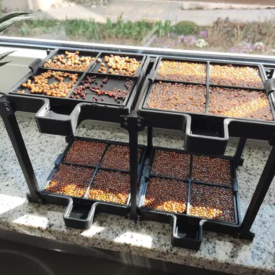 Mô-đun Trồng/Rây Cải Xoong/Mầm Cây