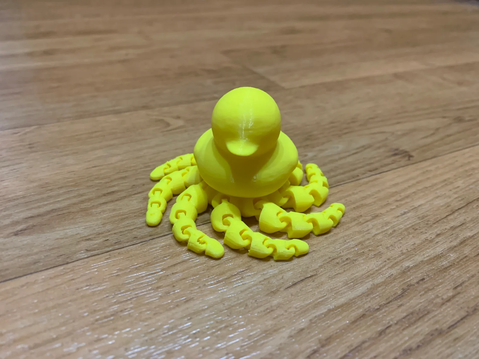 The Quacken - Vịt Bạch Tuộc Đáng Yêu 1