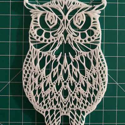 Trang Trí Tường Hình Cú Mèo