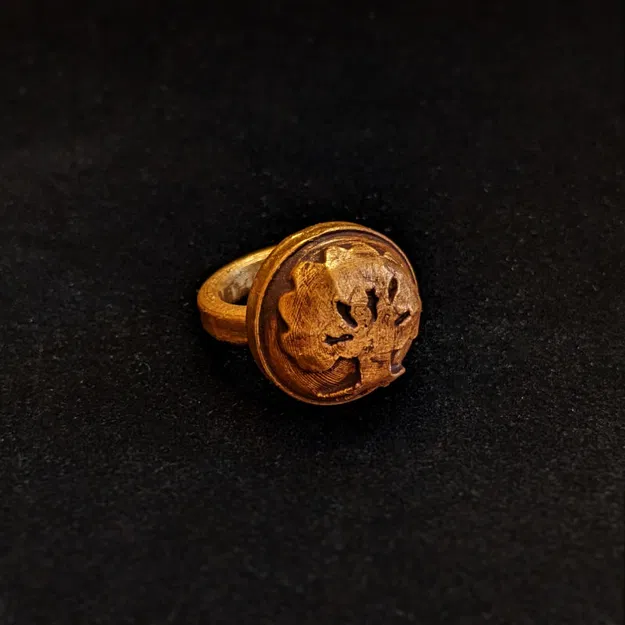 Năm Chiếc Nhẫn Nguyên Tố Ma Thuật - Image 4