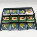 Khay bài Catan 54x80 (Catan: Cities & Knights) - Thumbnail 2