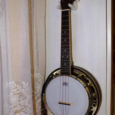 Giá Đỡ Ukulele (Ukulele Holder) - Lắp Ráp Dễ Dàng