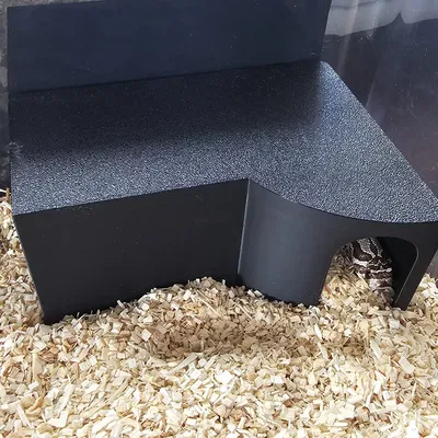 Hang Rắn Cho Chuồng Nhỏ