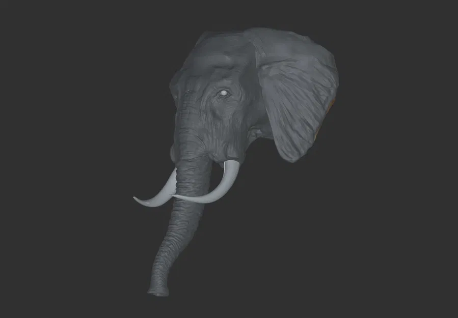 Mô hình đầu voi 3D - Image 1