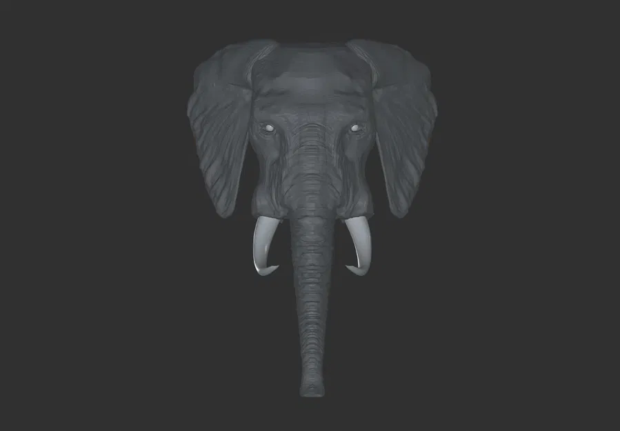 Mô hình đầu voi 3D - Image 2