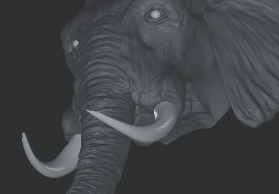 Mô hình đầu voi 3D - Image 3