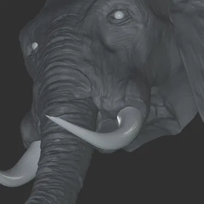 Mô hình đầu voi 3D