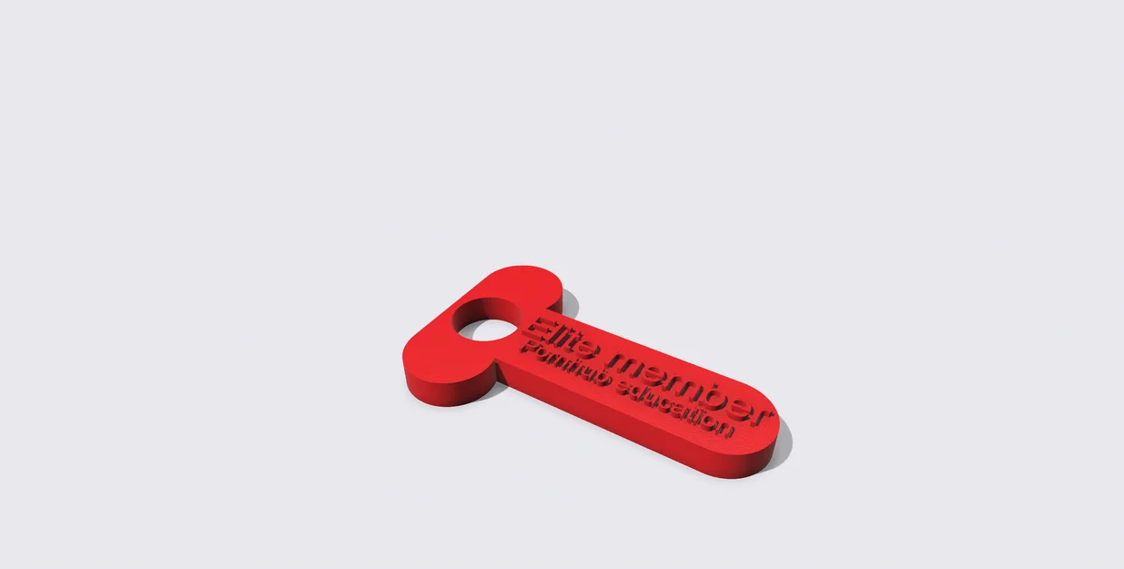 Móc Khóa Phần Thưởng Giáo Dục P**nHub - Image 1