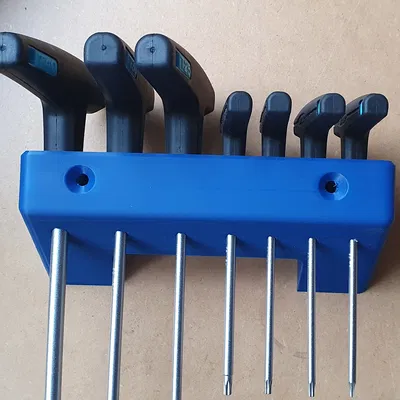 Giá đỡ lục giác Torx VAR