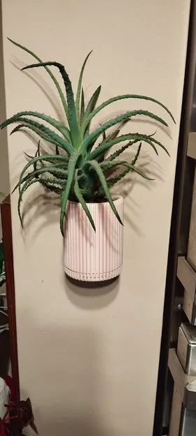 Chậu Hoa Dễ Thương - Image 1