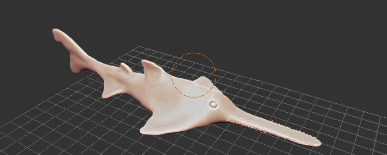 Onchopristis - Image 1