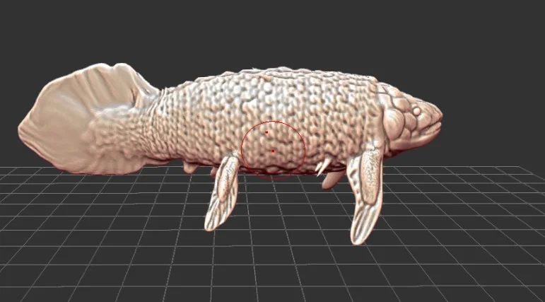 Mô hình 3D Cá phổi Retodus - Image 1