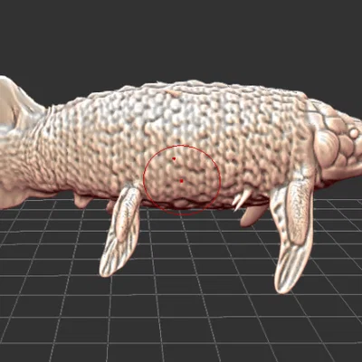 Mô hình 3D Cá phổi Retodus