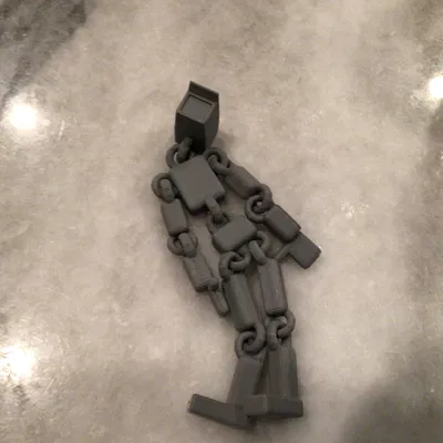 Ted ragdoll đầu camera