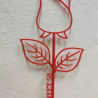 Hoa Hồng Ngọt Ngào 50 - Quà Tặng Sinh Nhật Lần Thứ 50