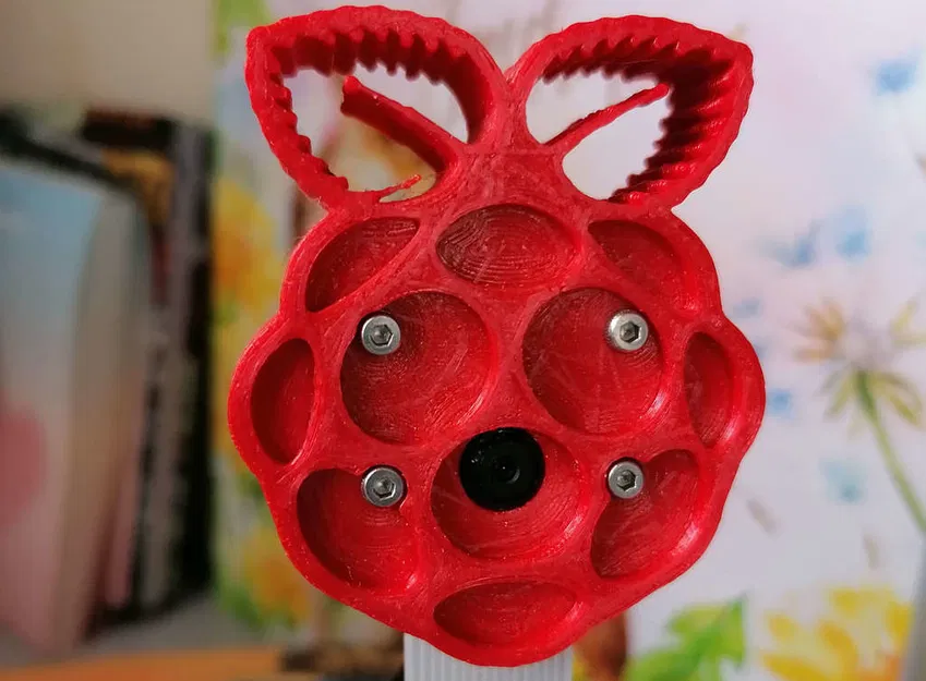 Vỏ Hộp Tripod Camera Raspberry Pi Module v1.3 - Image 1