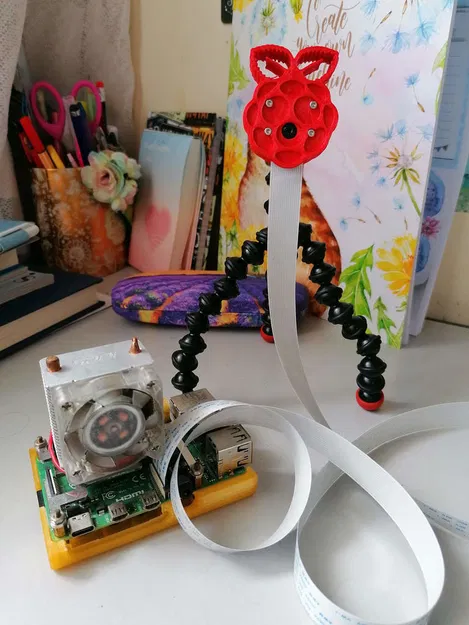 Vỏ Hộp Tripod Camera Raspberry Pi Module v1.3 - Image 3