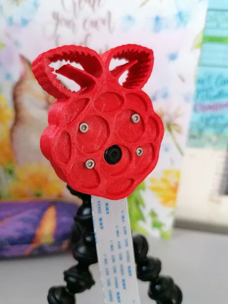 Vỏ Hộp Tripod Camera Raspberry Pi Module v1.3 - Image 4