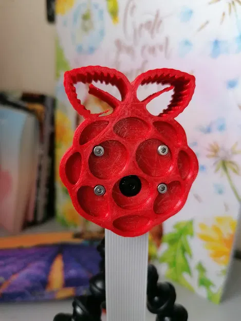 Vỏ Hộp Tripod Camera Raspberry Pi Module v1.3 - Image 7