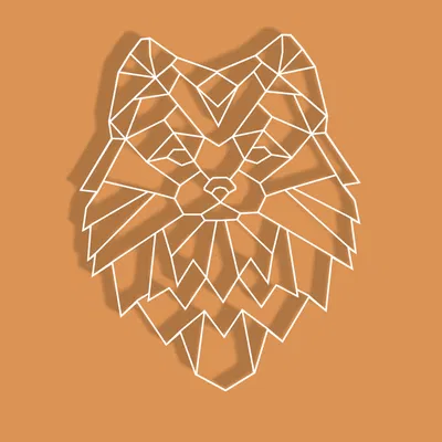 Chó Pomeranian Hình Học