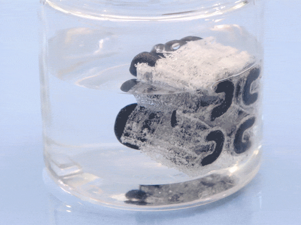 Máy lắc phòng thí nghiệm Crickit Lab Shaker - Image 17