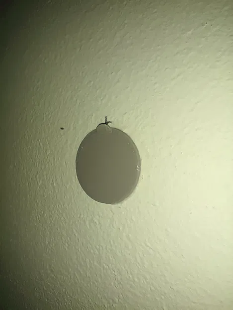 Móc treo hình dán tường - Image 1