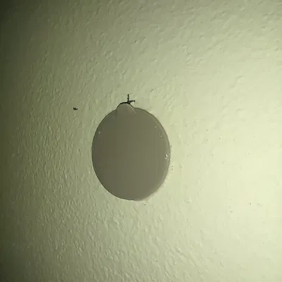 Móc treo hình dán tường