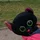 Tom_6487