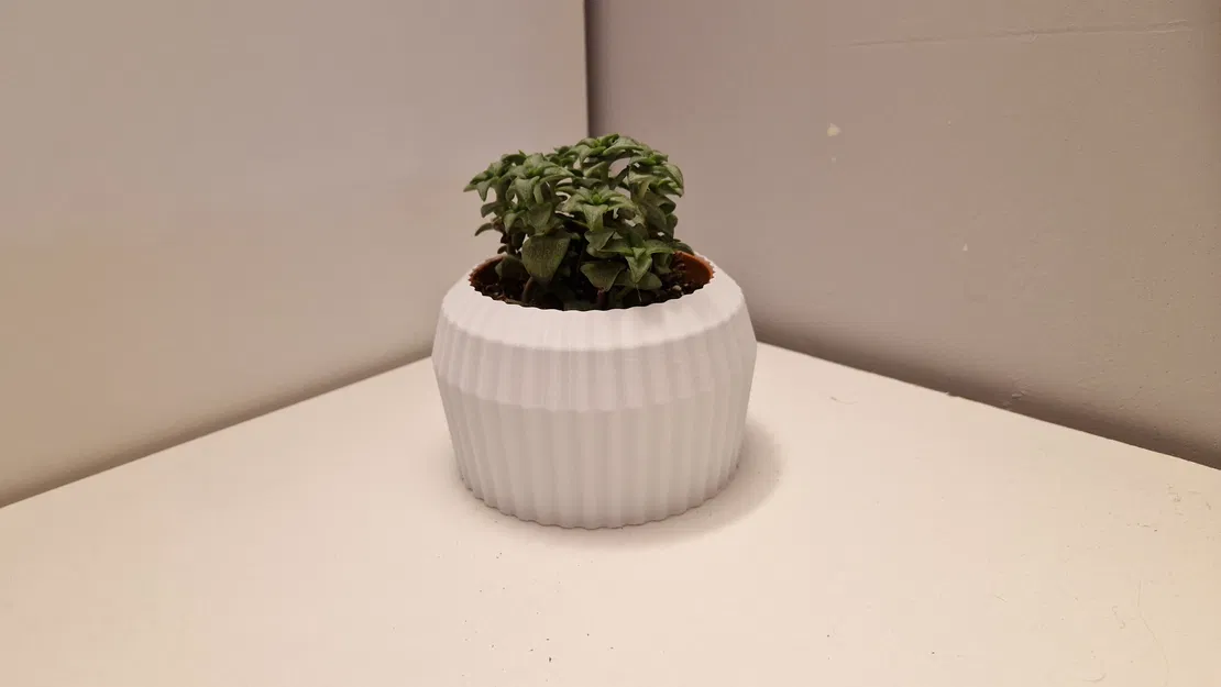 Chậu Hoa Hình Bánh Răng - Image 4