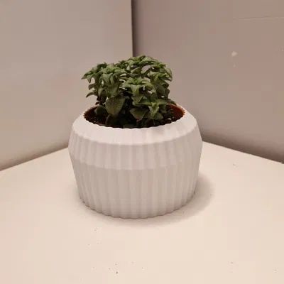 Chậu Hoa Hình Bánh Răng