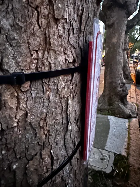 Kệ biển cong 8.5"x11" - Dùng dây rút gắn cây - Image 2