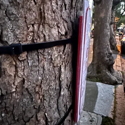 Kệ biển cong 8.5"x11" - Dùng dây rút gắn cây