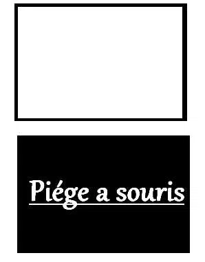 Thử nghiệm Bẫy Chuột Bập Bênh - Image 1