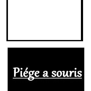 Thử nghiệm Bẫy Chuột Bập Bênh